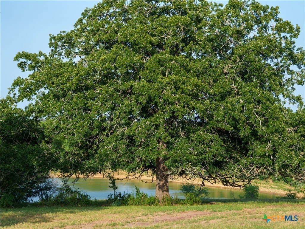 107.13 acres in Caldwell County - photo 3