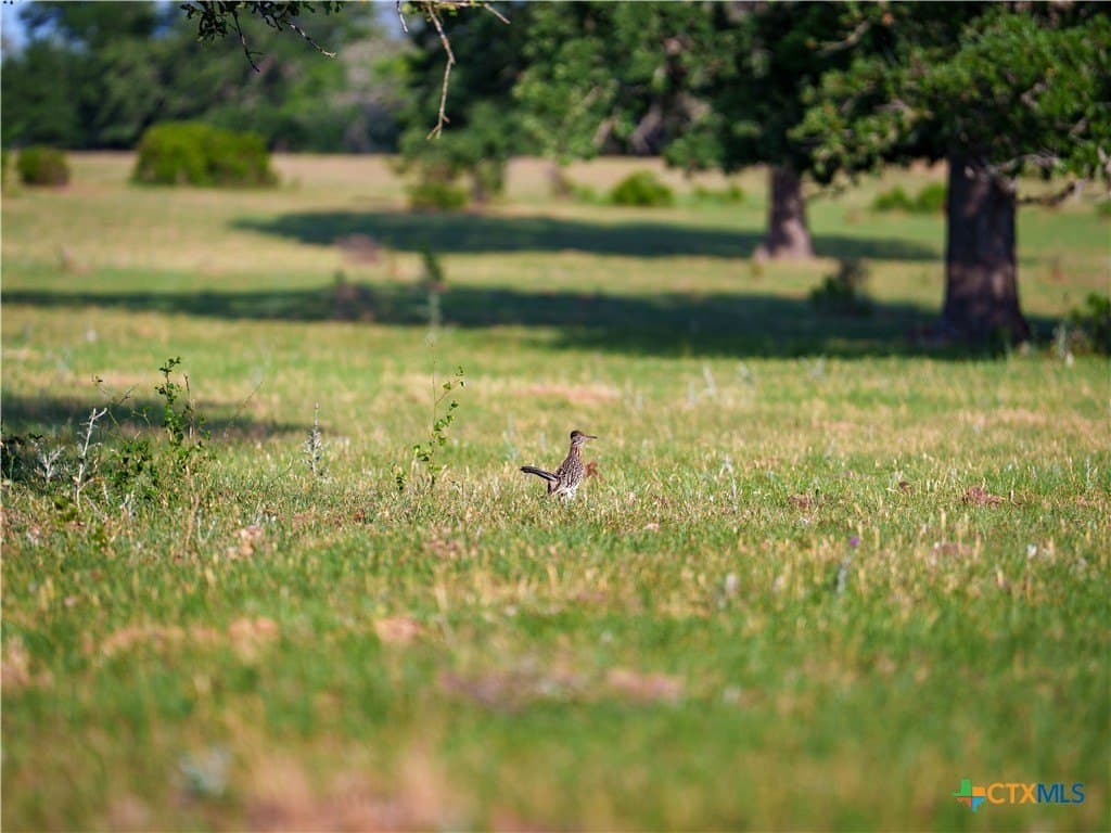 107.13 acres in Caldwell County - photo 24