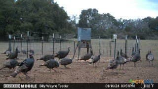 107.13 acres in Caldwell County - photo 14