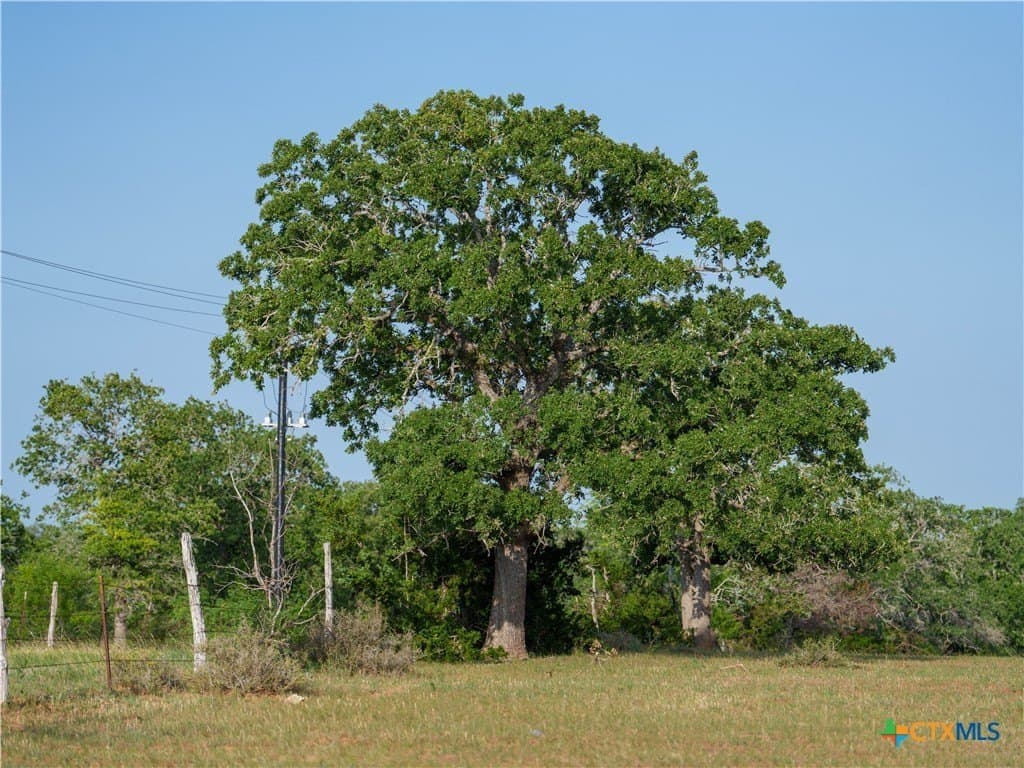 107.13 acres in Caldwell County - photo 23
