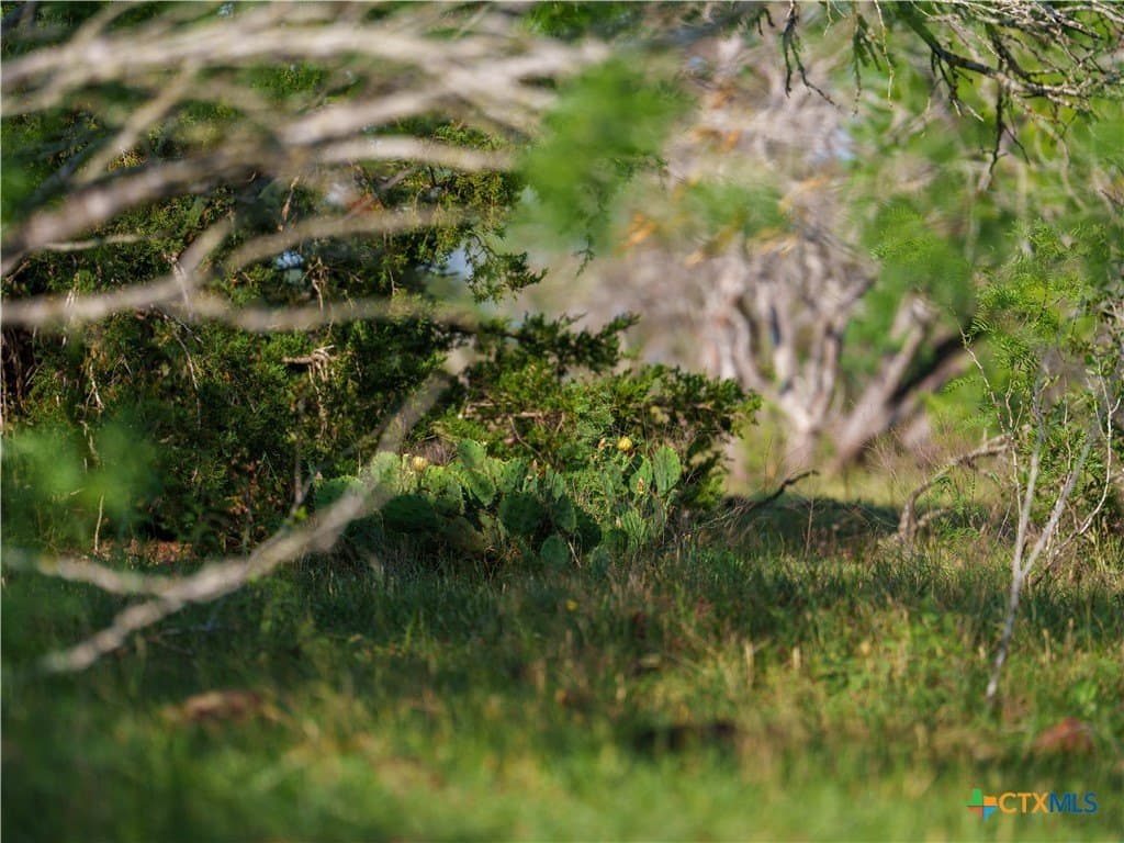 107.13 acres in Caldwell County - photo 27