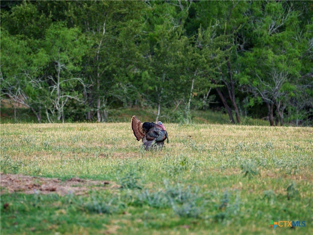 107.13 acres in Caldwell County - photo 13