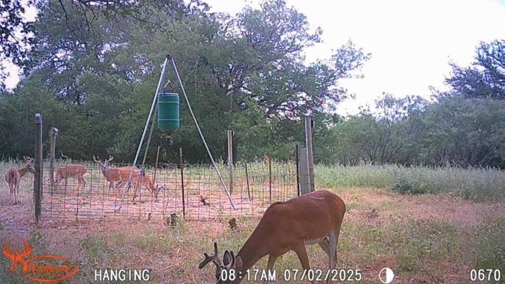 150 acres in Mills County - photo 2