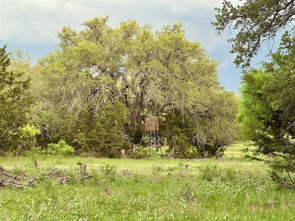 150 acres in Mills County - photo 35