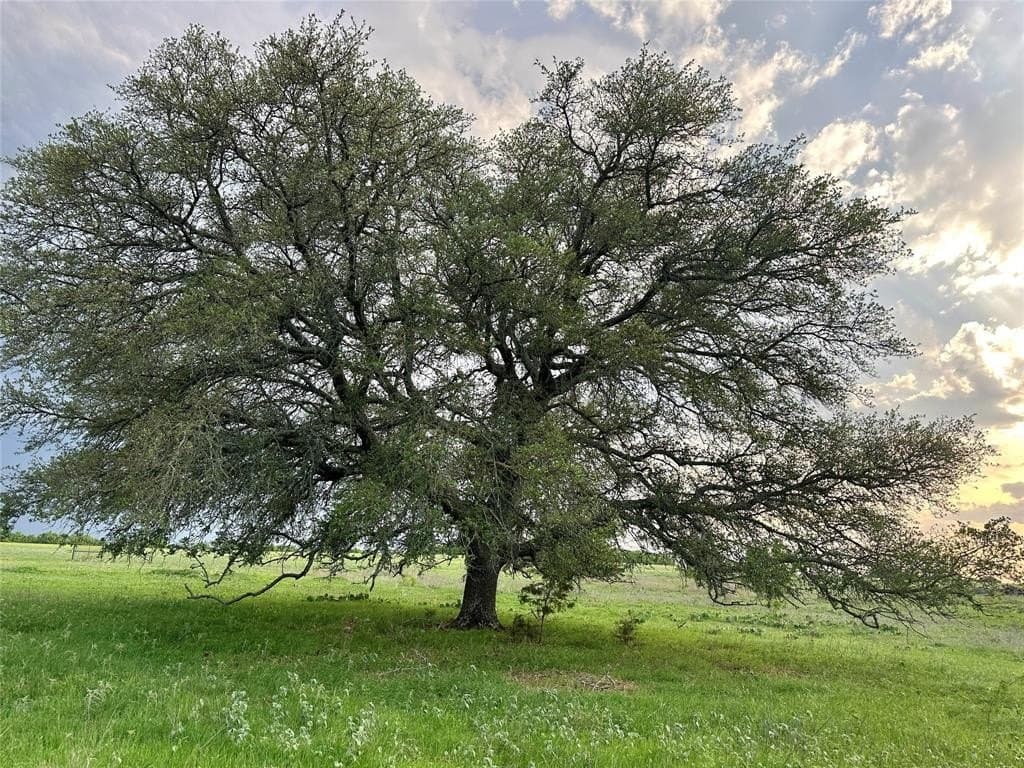 150 acres in Mills County - photo 30