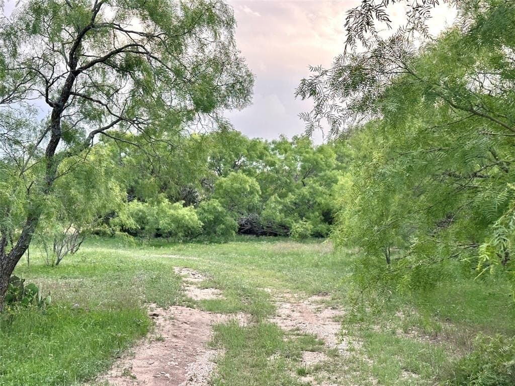 150 acres in Mills County - photo 16