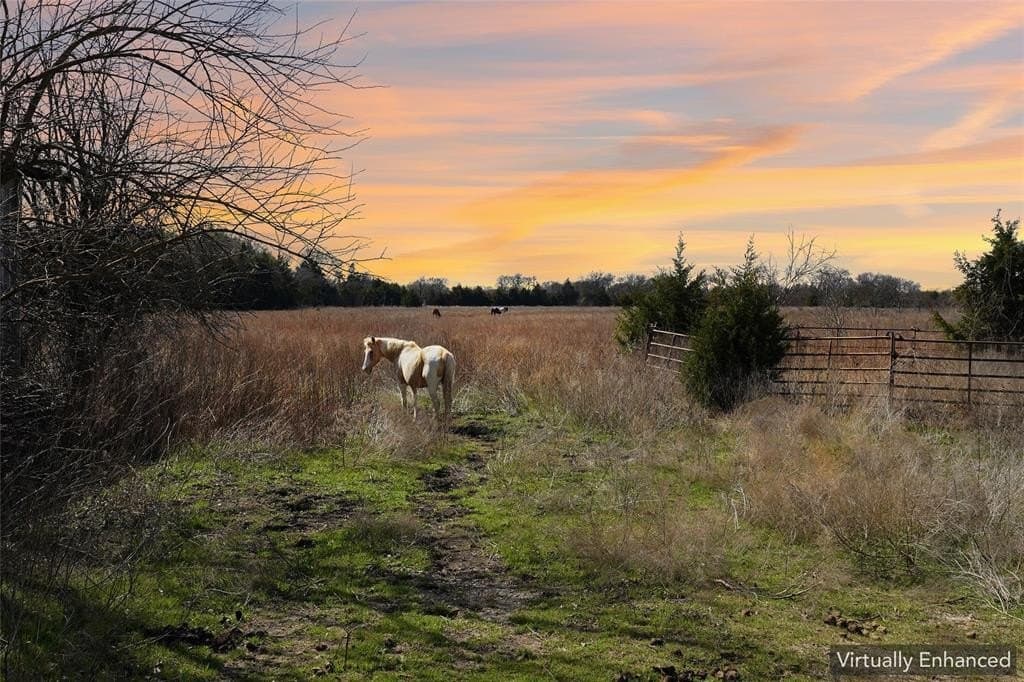 35.37 acres in Ellis County - photo 5