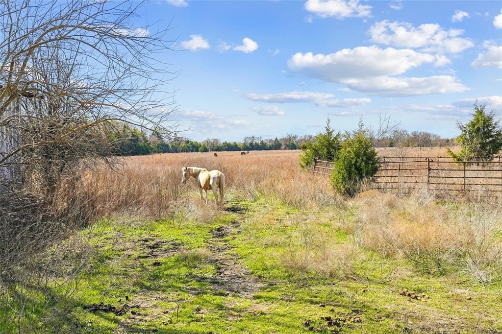 35.37 acres in Ellis County - photo 17