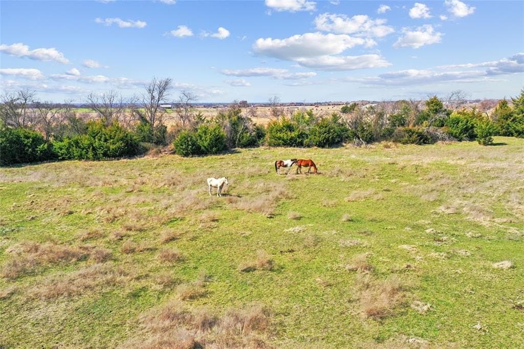 35.37 acres in Ellis County - photo 16