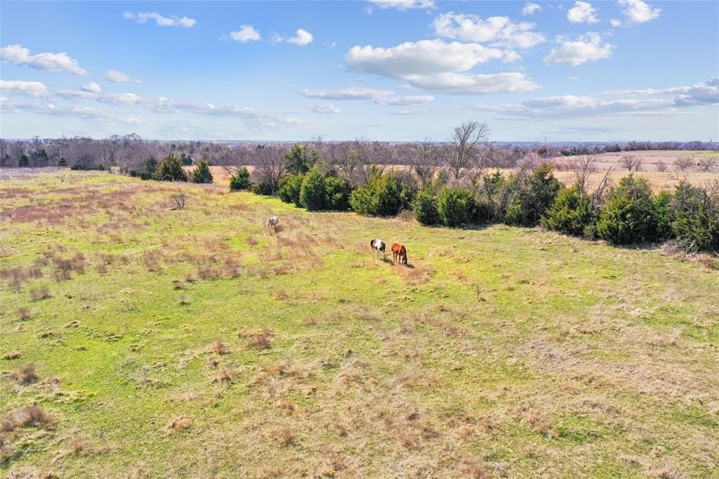 35.37 acres in Ellis County - photo 18