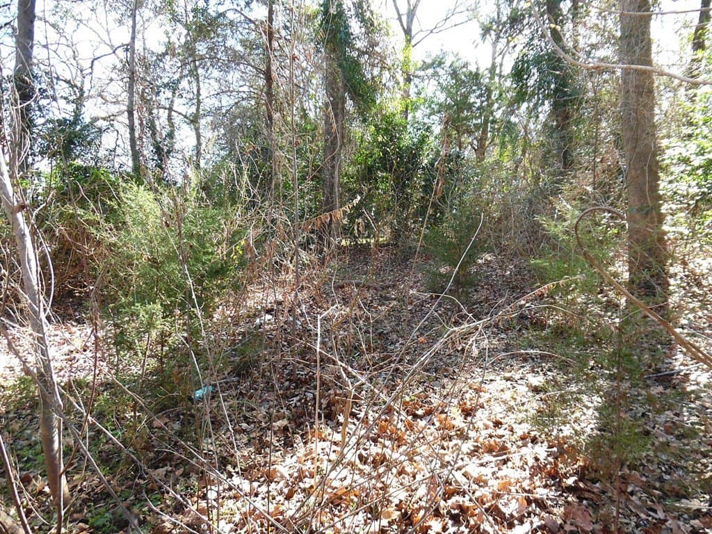 0.18 acres in Van Zandt County - photo 10