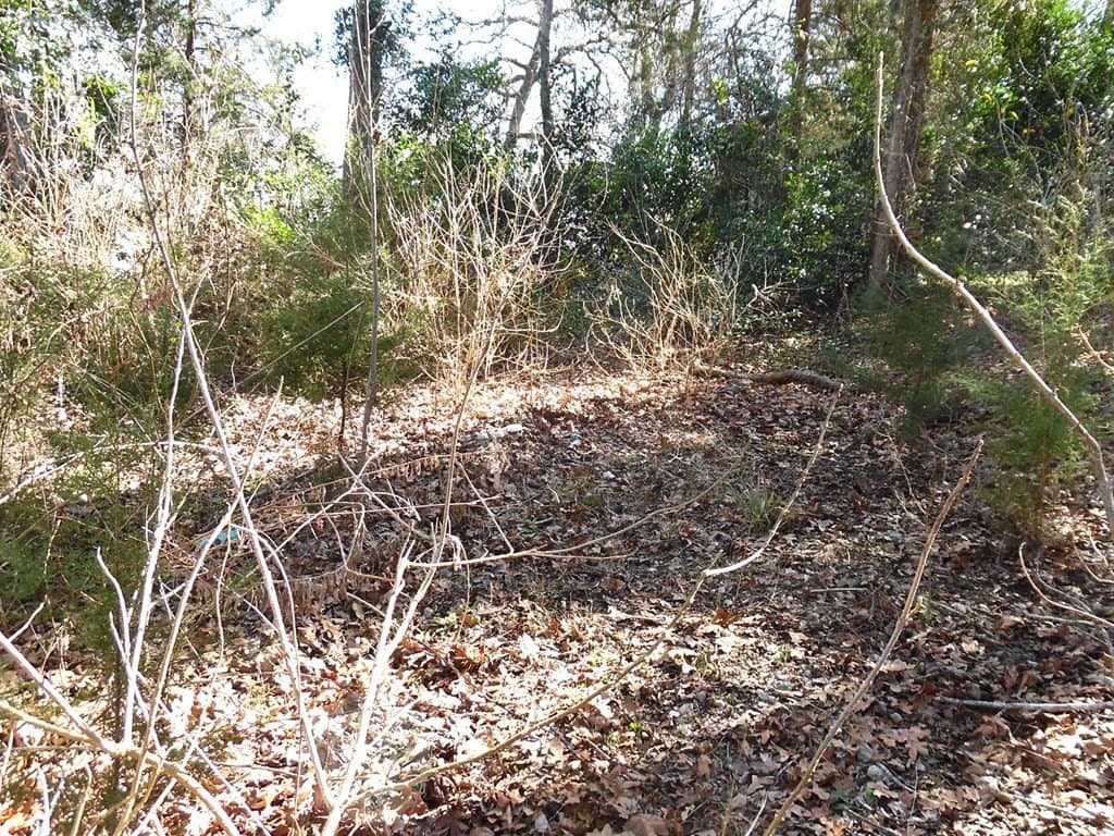 0.18 acres in Van Zandt County - photo 7