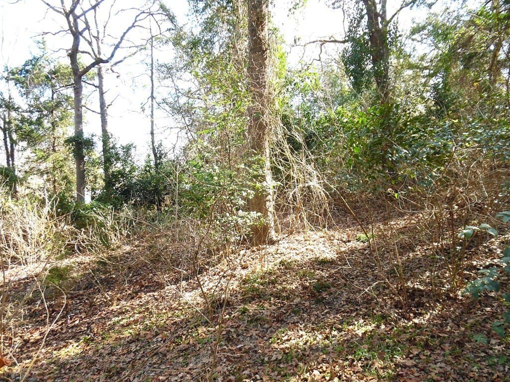 0.18 acres in Van Zandt County - photo 5