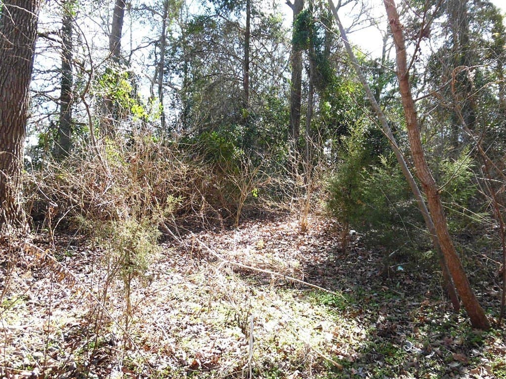 0.18 acres in Van Zandt County - photo 9