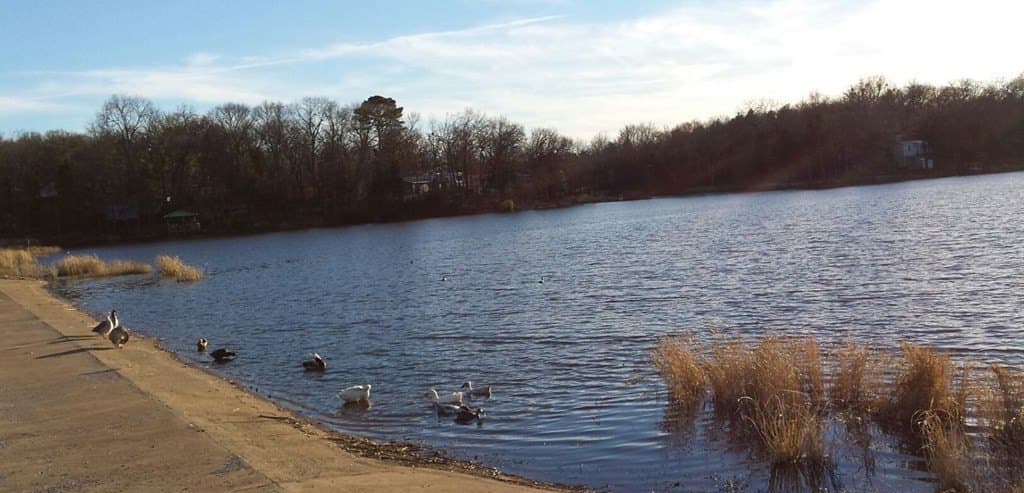 0.18 acres in Van Zandt County - photo 31