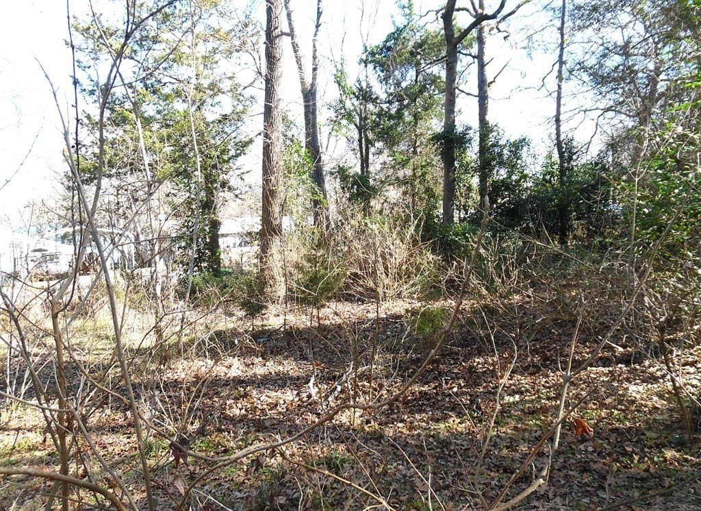 0.18 acres in Van Zandt County - photo 6