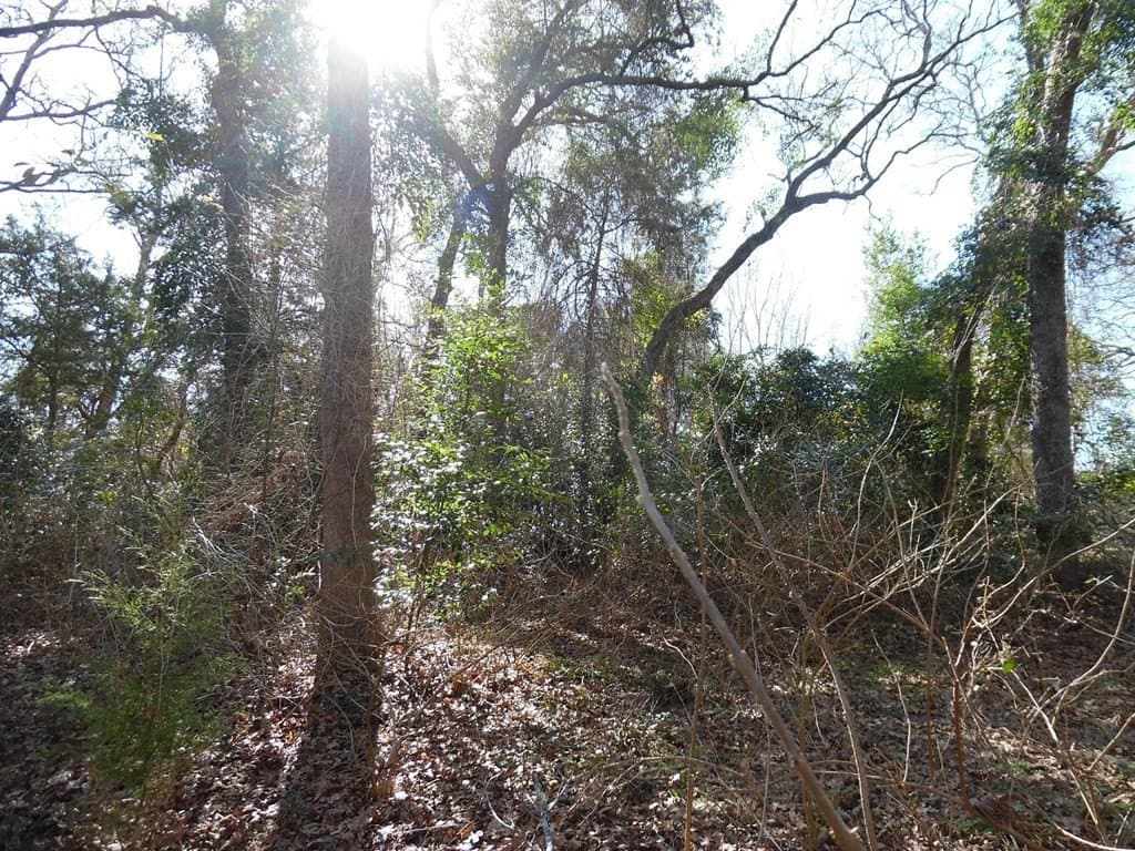 0.18 acres in Van Zandt County - photo 12