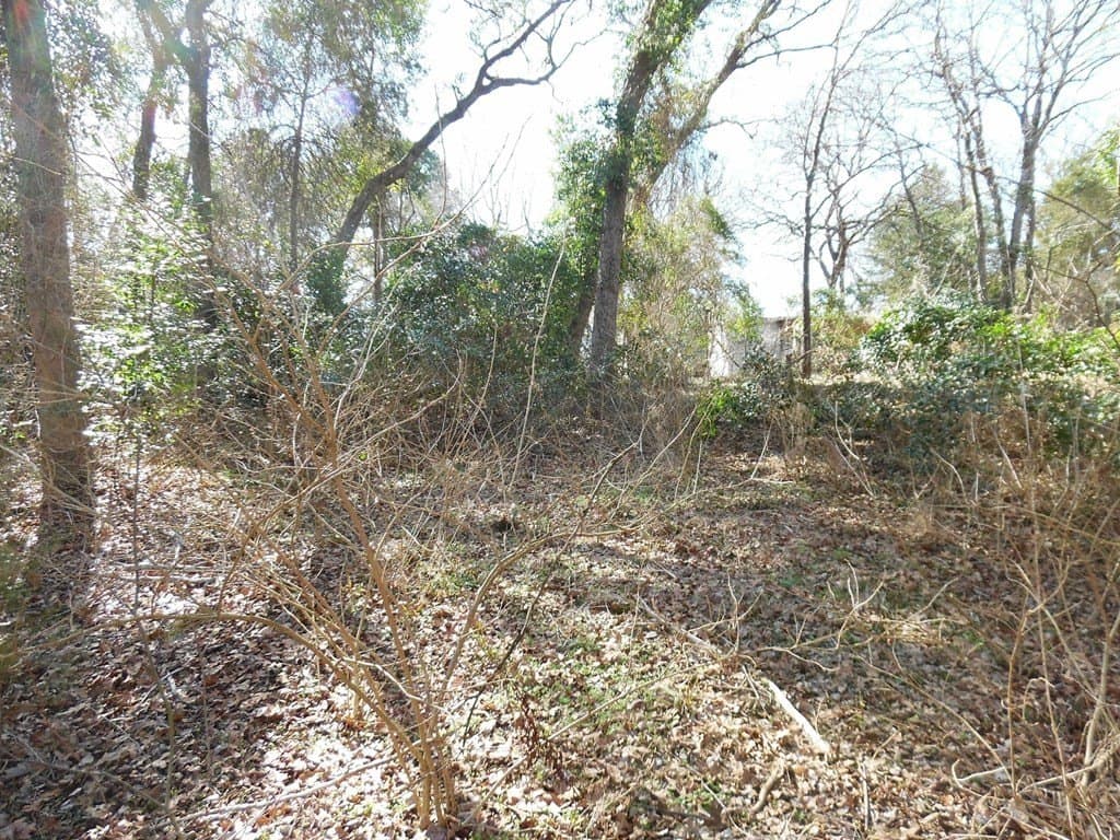 0.18 acres in Van Zandt County - photo 8