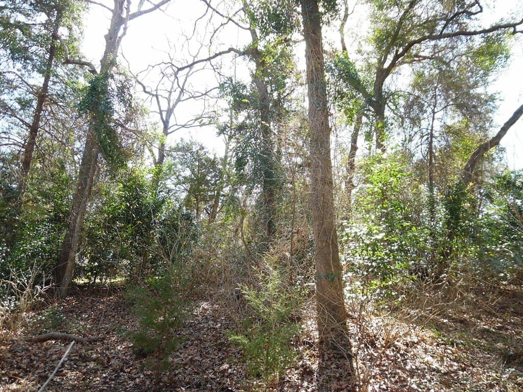 0.18 acres in Van Zandt County - photo 13