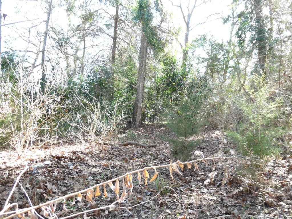 0.18 acres in Van Zandt County - photo 11