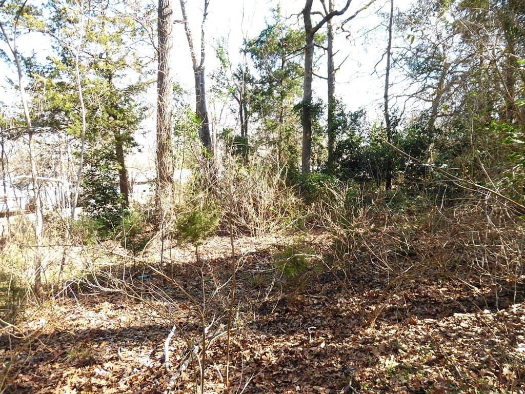 0.18 acres in Van Zandt County - photo 3