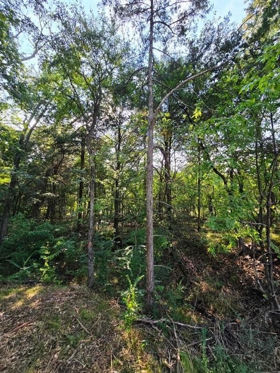 7.36 acres in Grayson County - photo 31