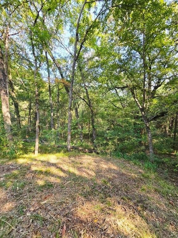 7.36 acres in Grayson County - photo 29