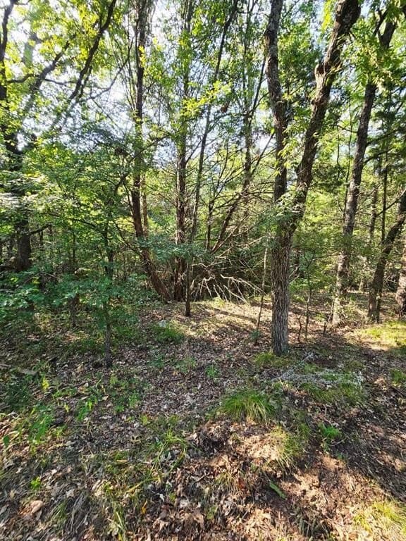 7.36 acres in Grayson County - photo 36