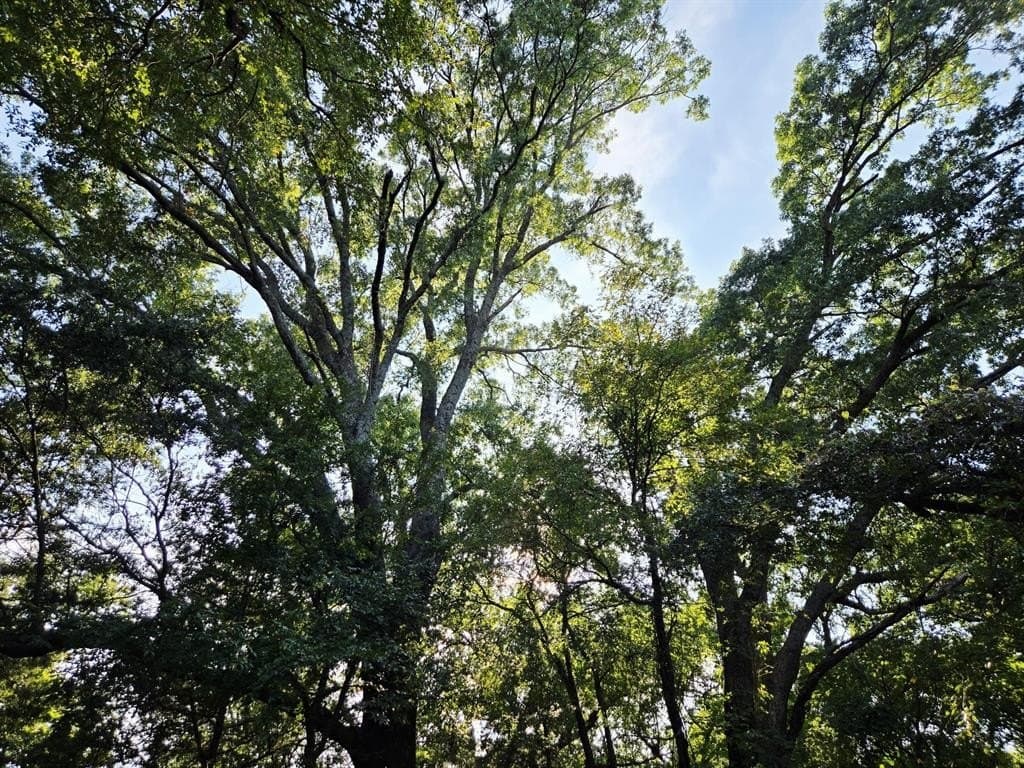 7.36 acres in Grayson County - photo 2