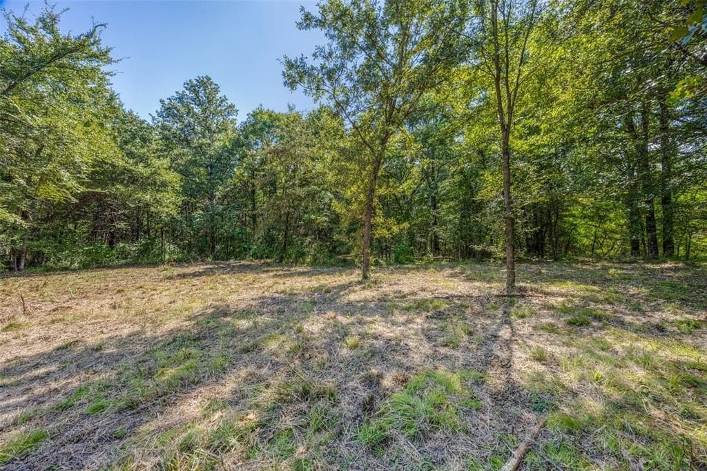 7.36 acres in Grayson County - photo 14