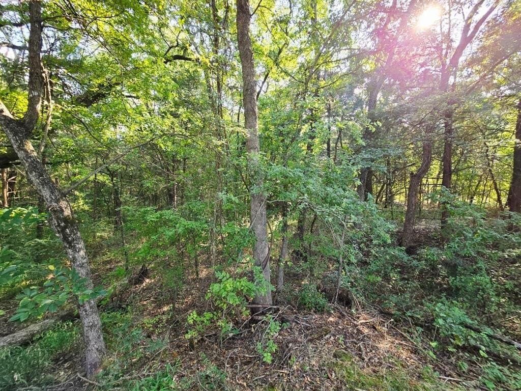 7.36 acres in Grayson County - photo 24