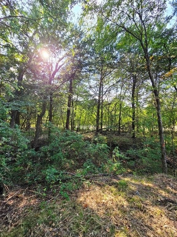 7.36 acres in Grayson County - photo 26