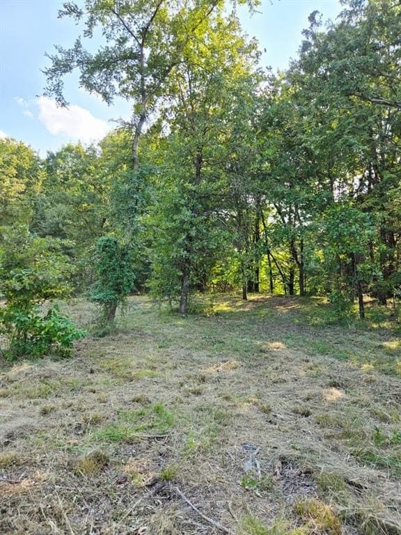 7.36 acres in Grayson County - photo 37