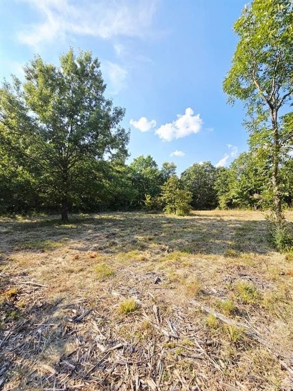 7.36 acres in Grayson County - photo 33