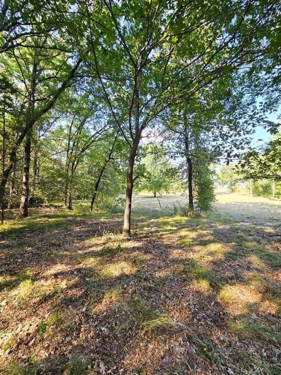 7.36 acres in Grayson County - photo 35