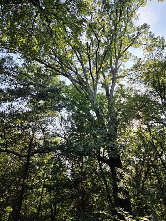 7.36 acres in Grayson County - photo 22