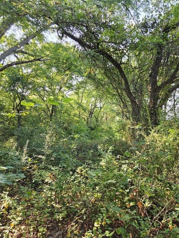 7.36 acres in Grayson County - photo 21