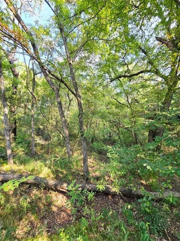 7.36 acres in Grayson County - photo 28