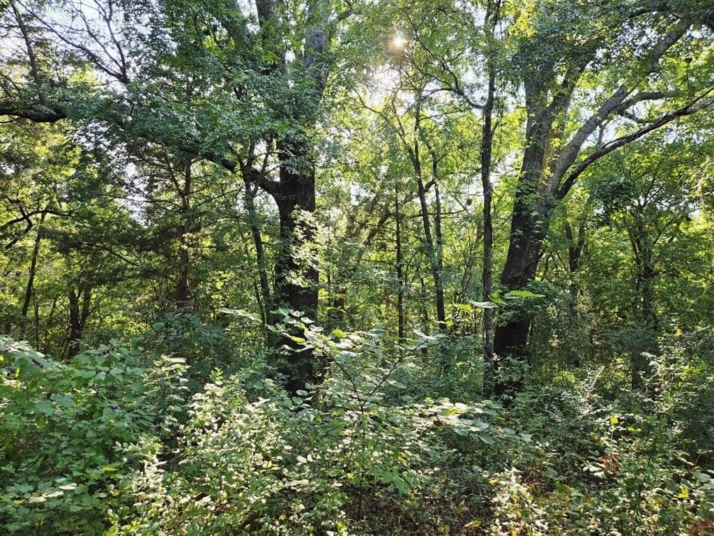 347 Copper Branch Road