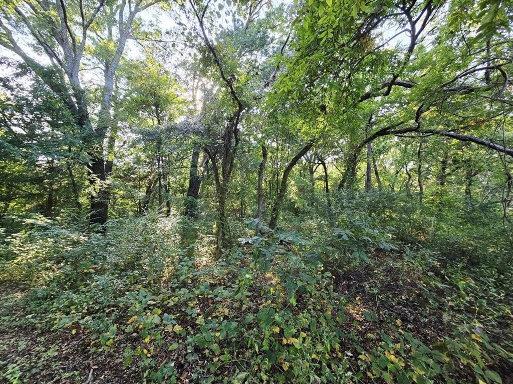 7.36 acres in Grayson County - photo 4