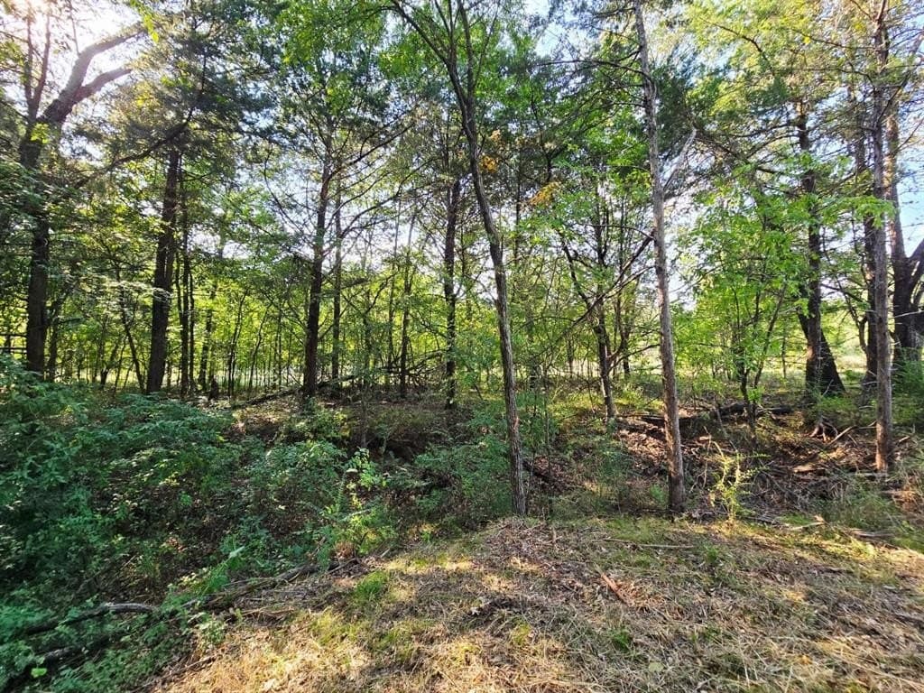 7.36 acres in Grayson County - photo 25