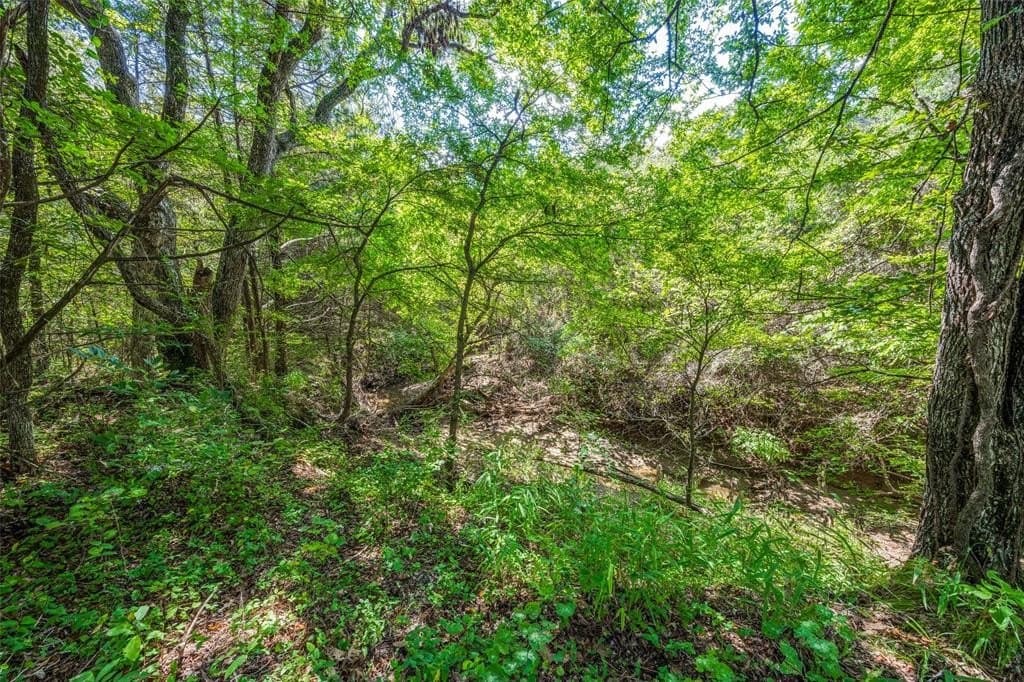 7.36 acres in Grayson County - photo 5