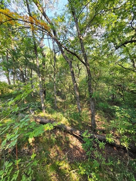 7.36 acres in Grayson County - photo 27