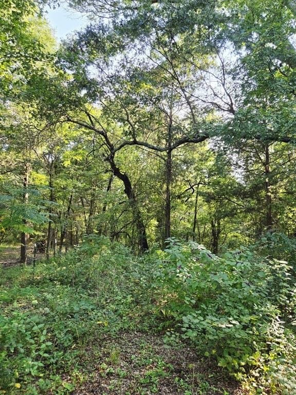 7.36 acres in Grayson County - photo 23