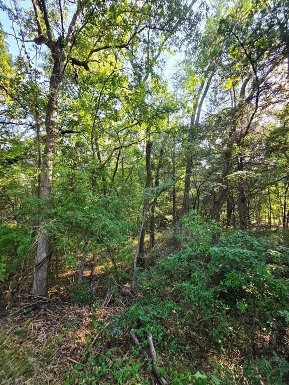 7.36 acres in Grayson County - photo 30