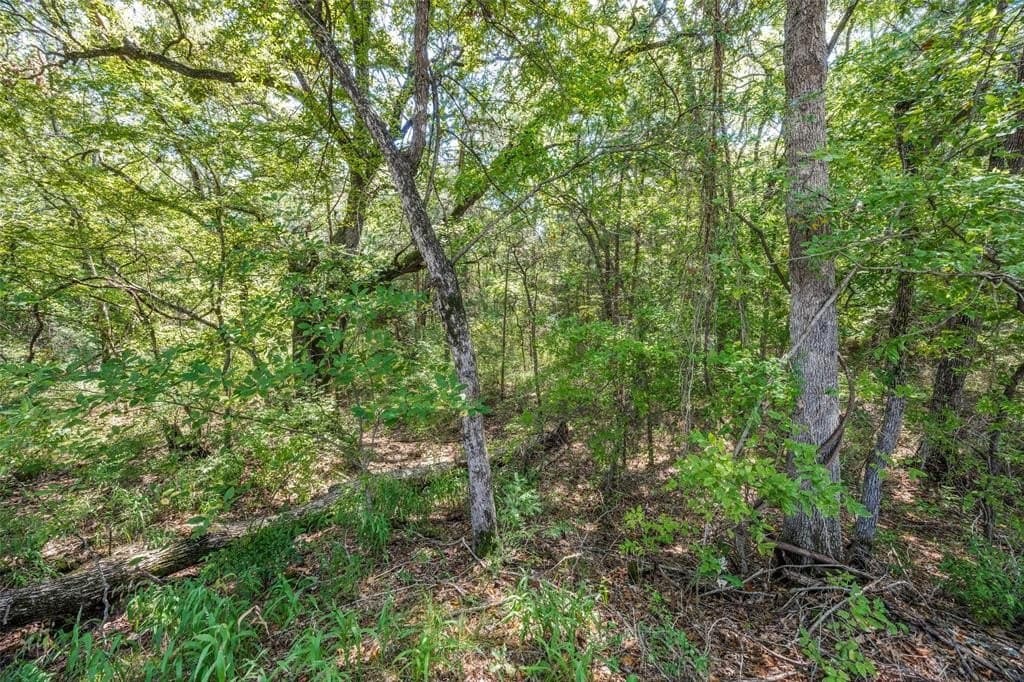 7.36 acres in Grayson County - photo 7
