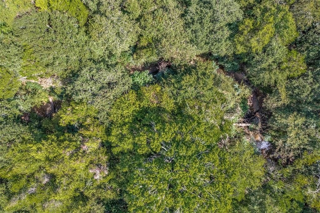 7.36 acres in Grayson County - photo 10