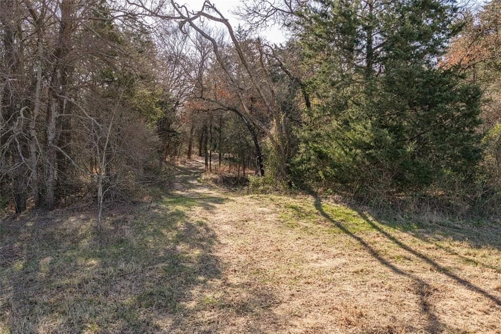 114.76 acres in Cooke County - photo 8