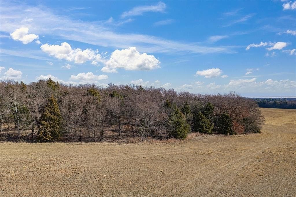114.76 acres in Cooke County - photo 31