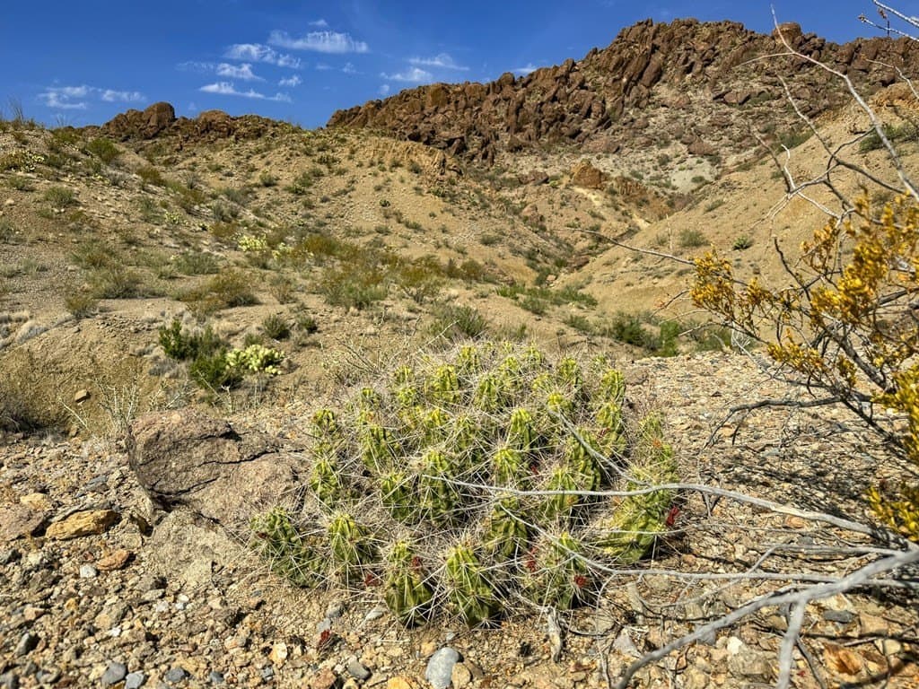 100 acres in Brewster County - photo 5